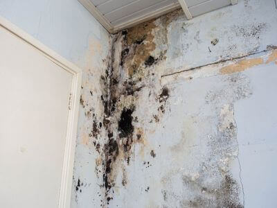 About water damage cleanup - ceiling water damage repair experts in Charlotte